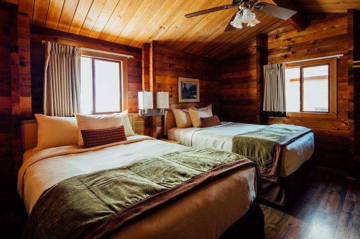 A wooden cabin interior with two beds and sunny windows.