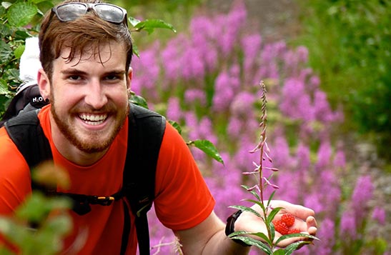 A hiker holds wild berries in his hand in a field of pink fireweed.