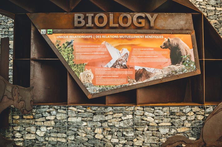 An interpretive board showing biological relationships of mountain animals.